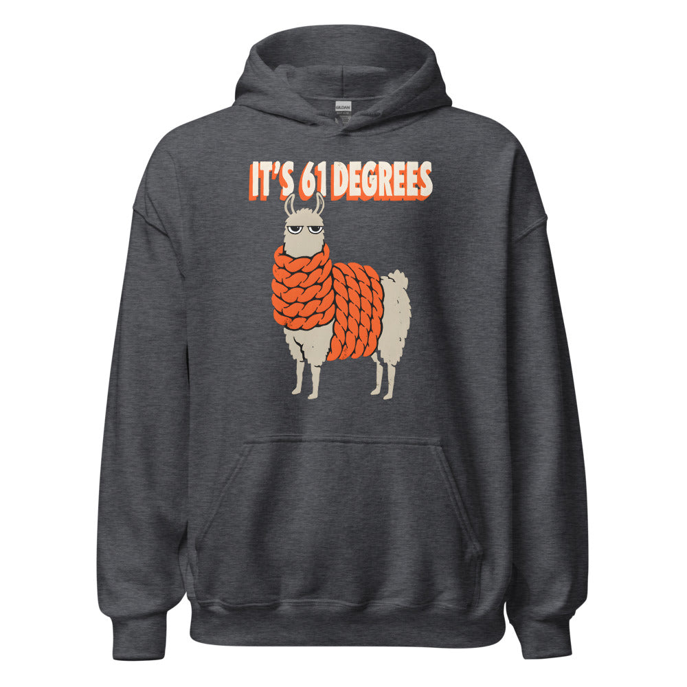 It's 61 Degrees Llama funny fall hoodie in Dark Grey Heather
