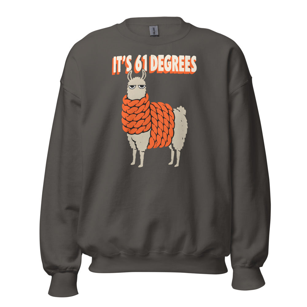 It's 61 Degrees Llama funny fall sweatshirt in Asphalt