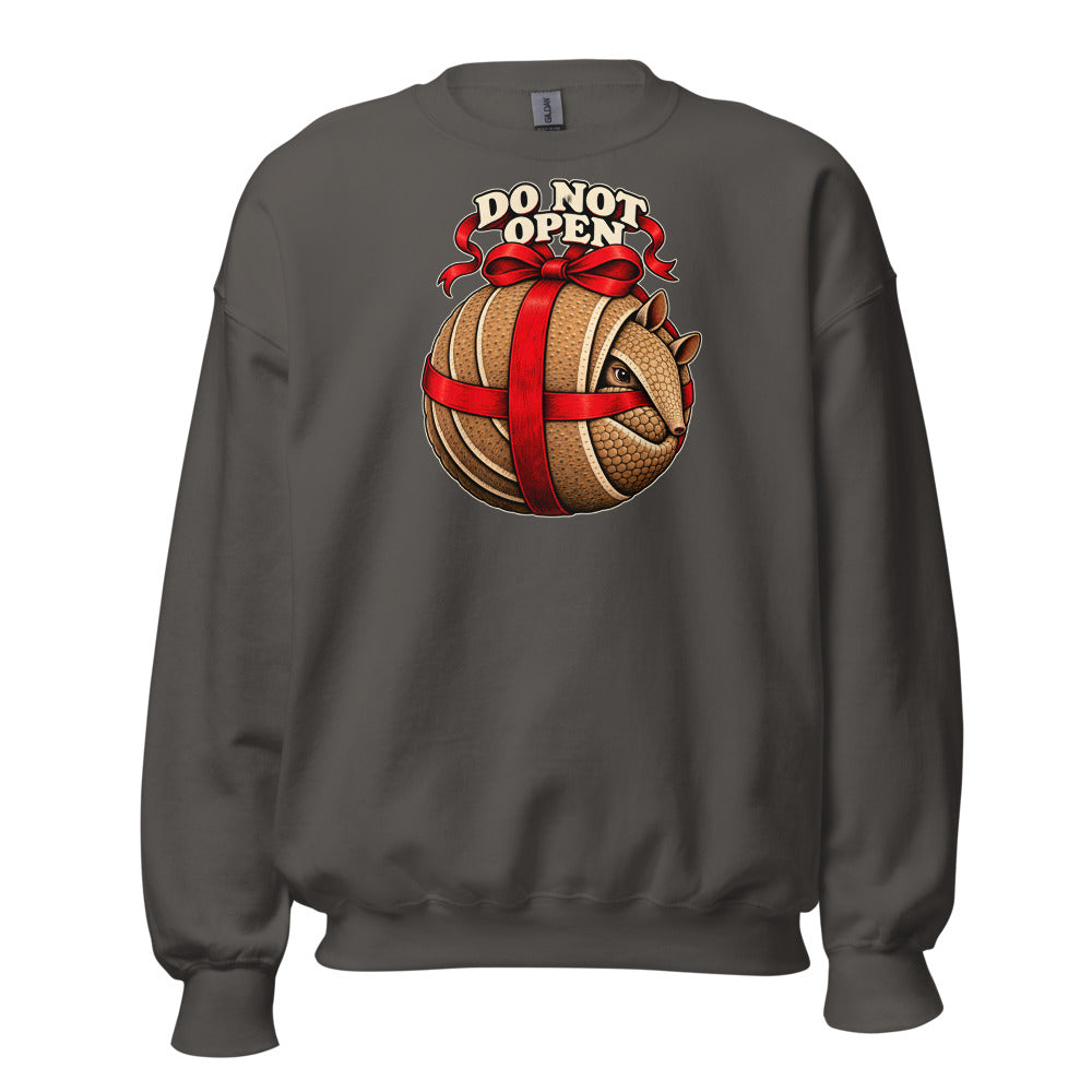 Do Not Open Armadillo funny Christmas sweatshirt in Asphalt