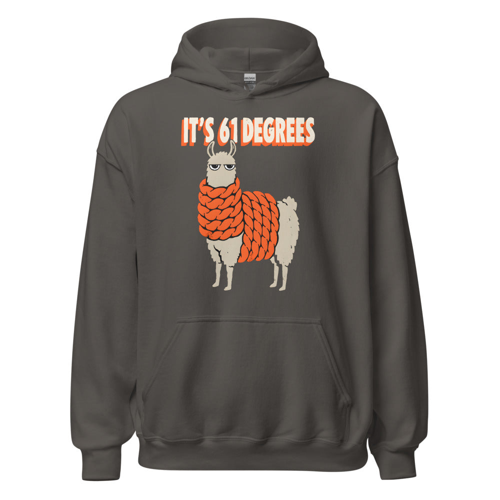 It's 61 Degrees Llama funny fall hoodie in Asphalt