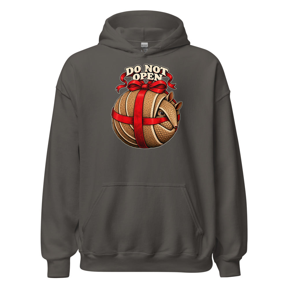 Do Not Open Armadillo funny Christmas hoodie in Asphalt