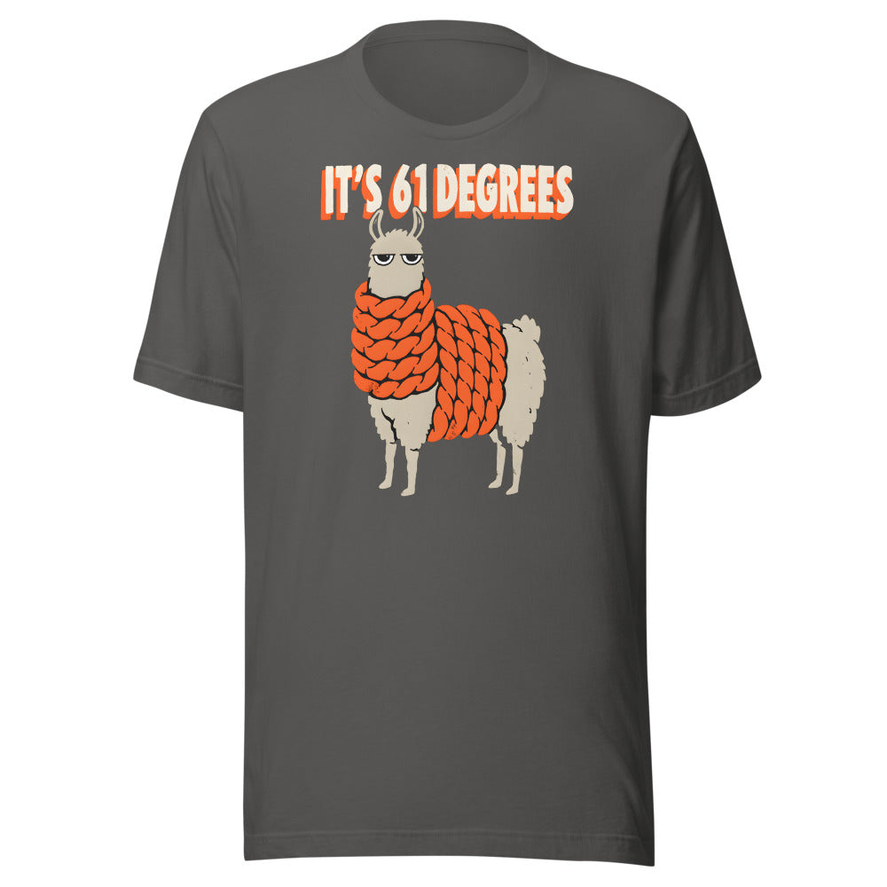 It's 61 Degrees Llama Shirt in Asphalt - front view