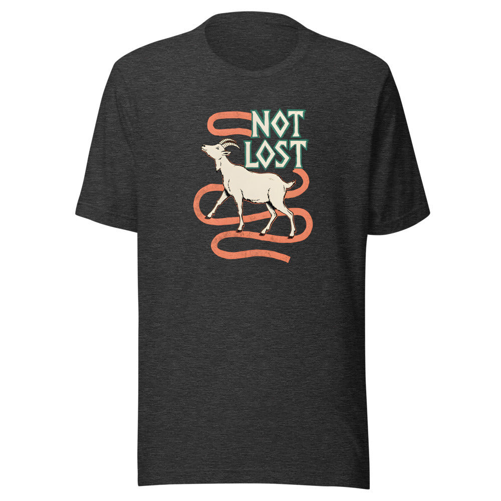 Not Lost Mountain Goat Shirt in Dark Grey Heather - front view